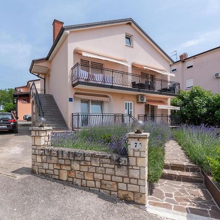Apartment Masha Novigrad Istria Εξωτερικό φωτογραφία