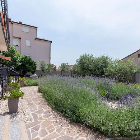 Apartment Masha Novigrad Istria Εξωτερικό φωτογραφία