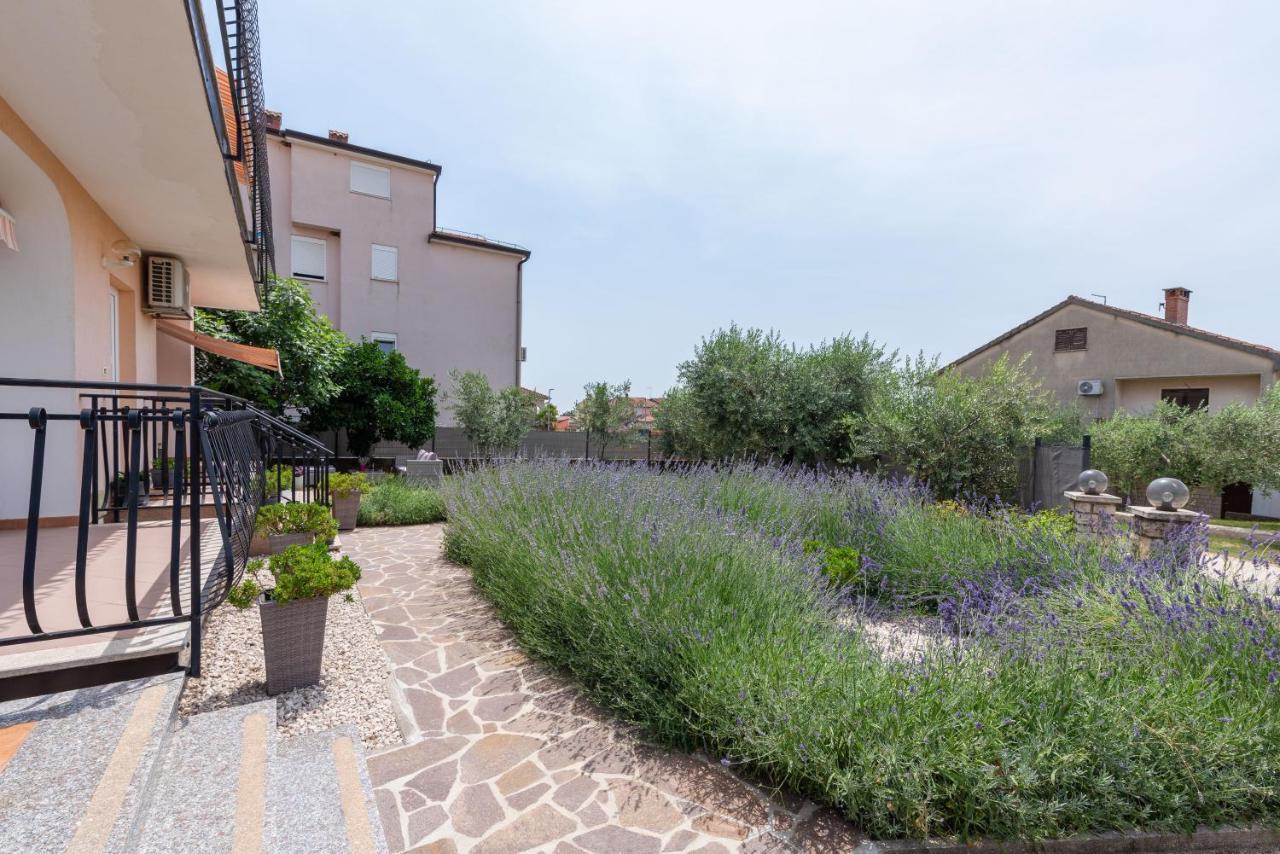 Apartment Masha Novigrad Istria Εξωτερικό φωτογραφία