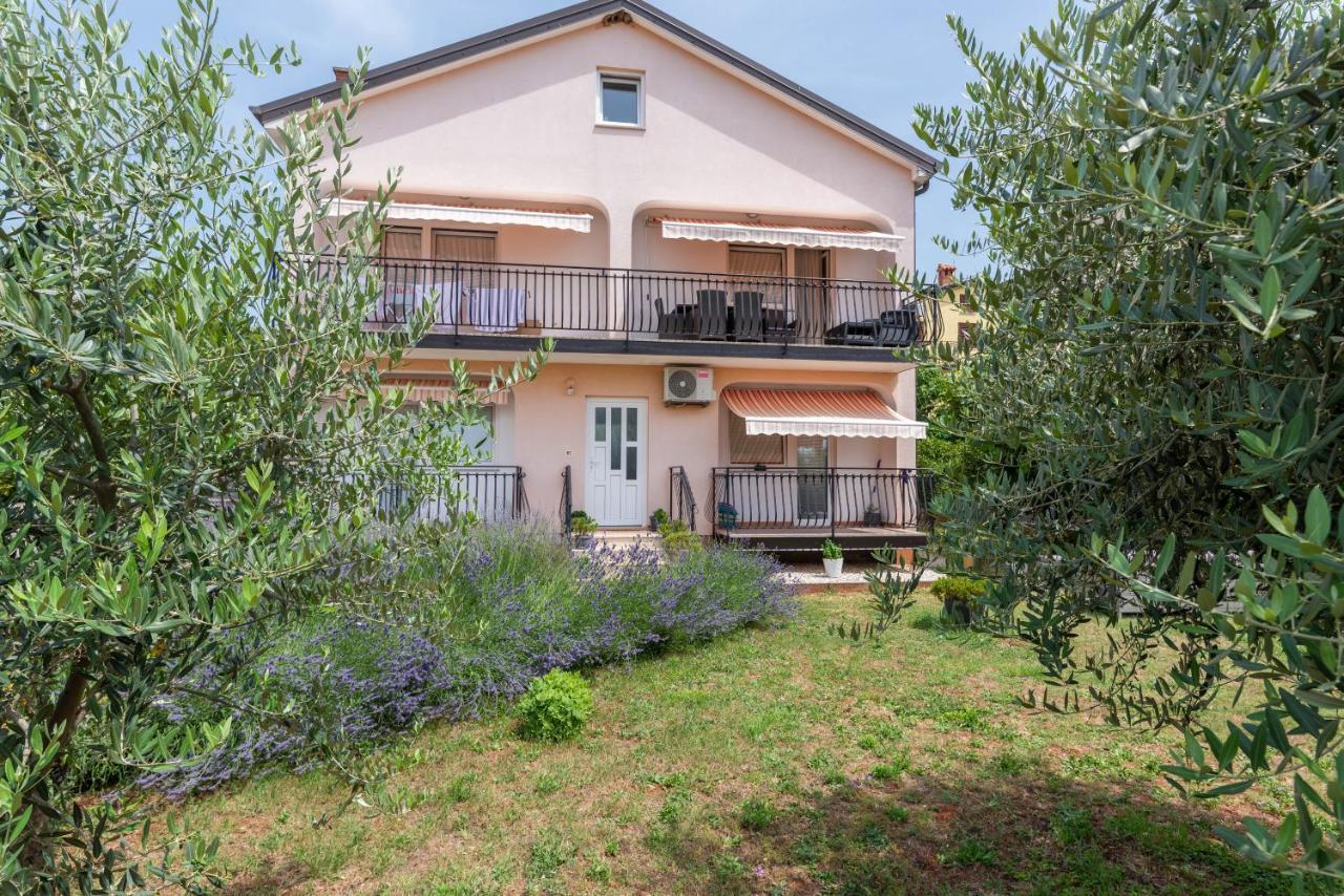 Apartment Masha Novigrad Istria Εξωτερικό φωτογραφία